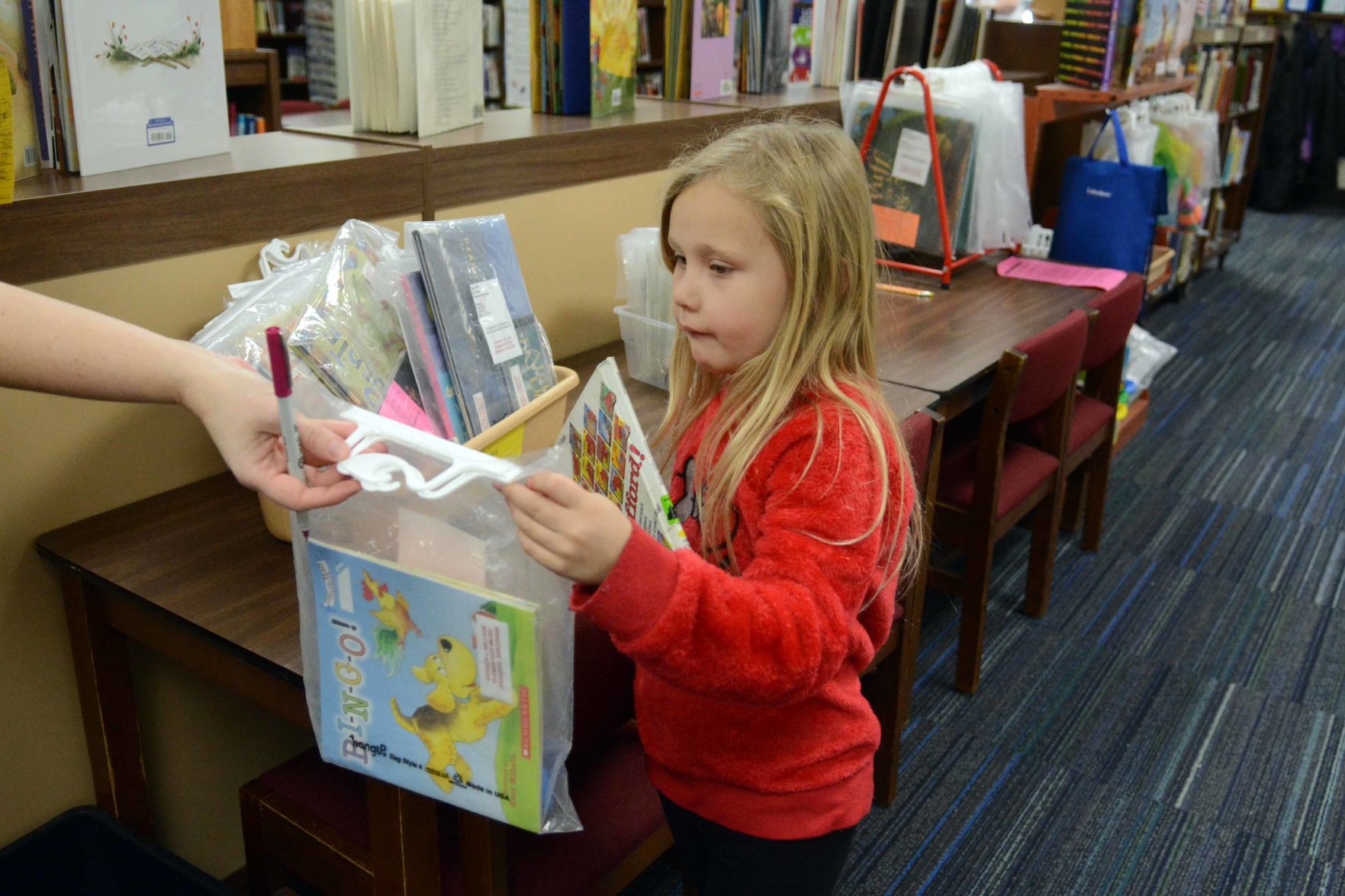 Literacy efforts in Baraboo schools